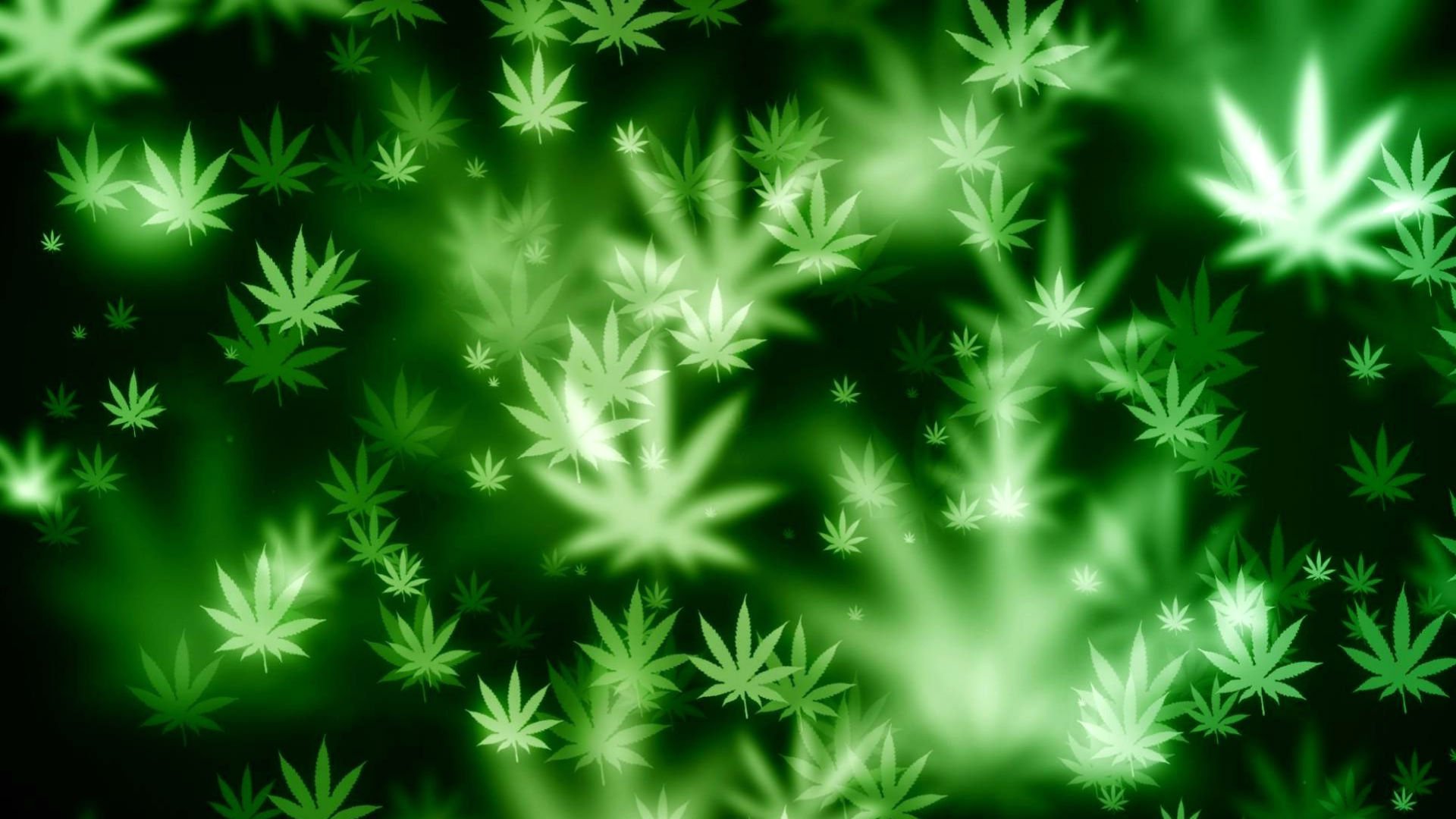 Marijuana Weed 420 Drugs Wallpapers HD Desktop And Mobile Backgrounds