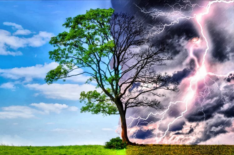 storm, Weather, Rain, Sky, Clouds, Nature, Desert, Sand, Landscape, Artwork, Tree, Lightning HD Wallpaper Desktop Background