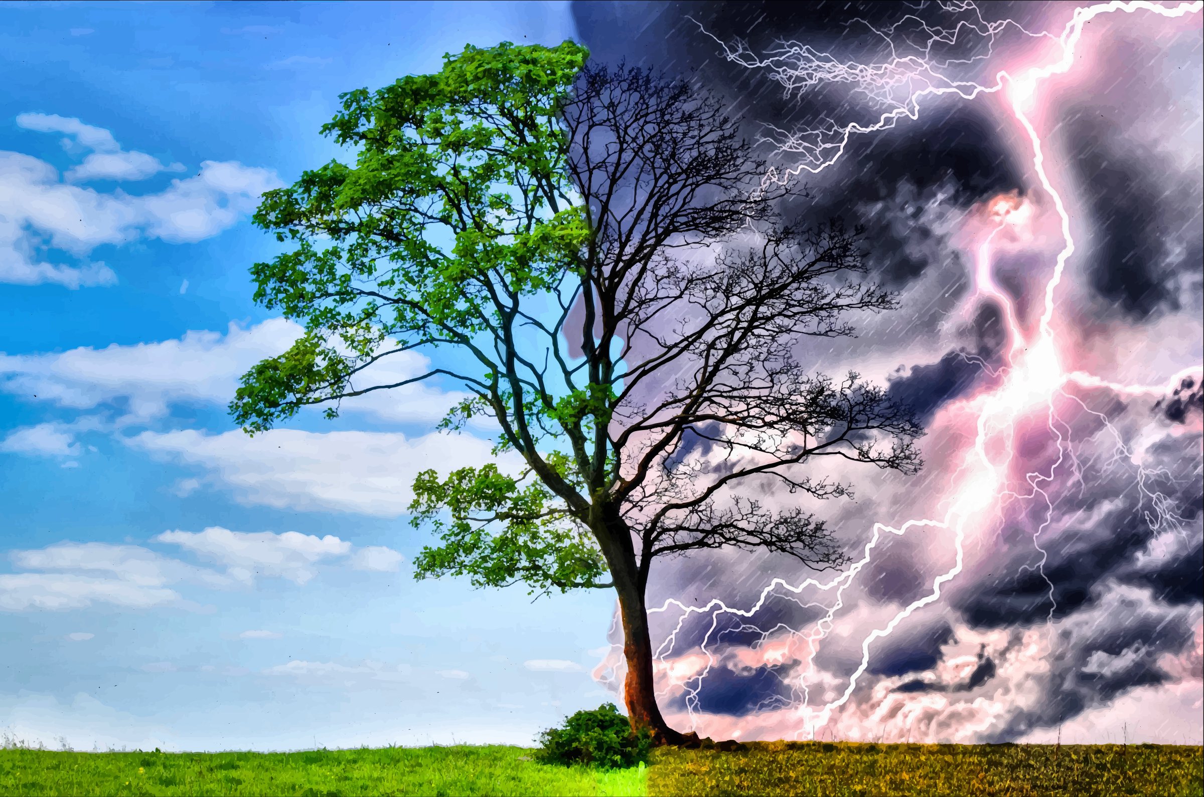 storm, Weather, Rain, Sky, Clouds, Nature, Desert, Sand, Landscape, Artwork, Tree, Lightning Wallpaper