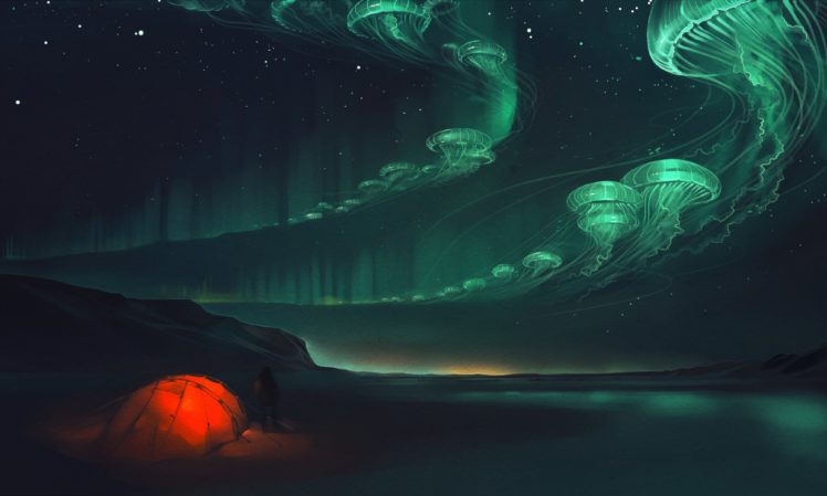 jellyfish, Night, Fantasy, Artwork, Psychedelic HD Wallpaper Desktop Background