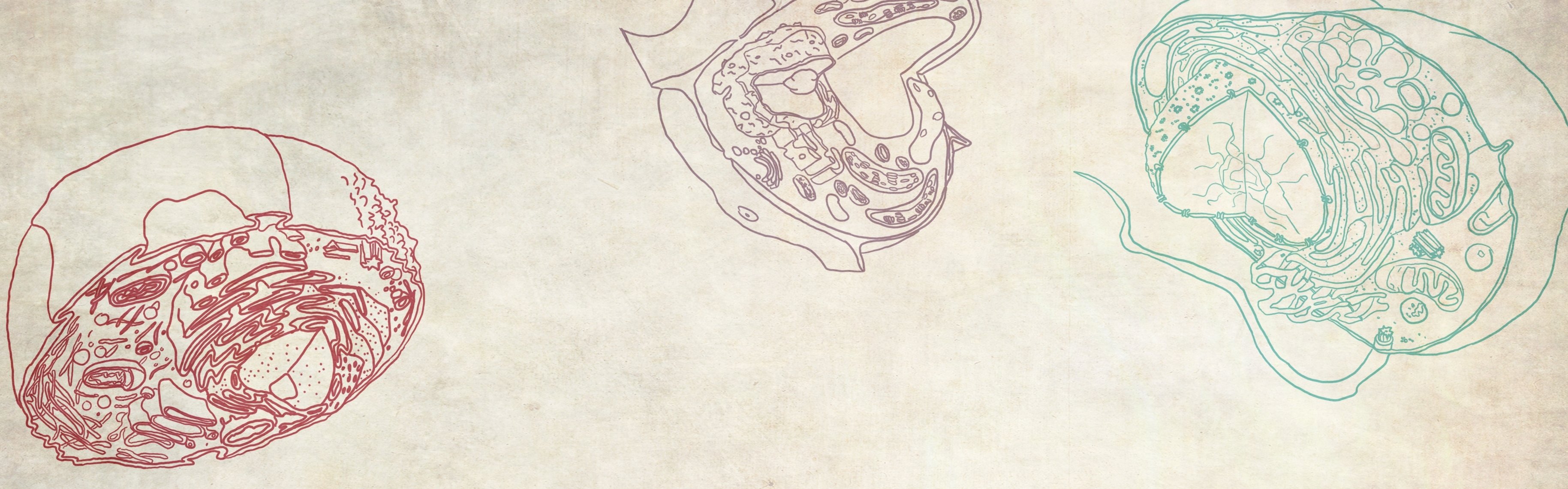 virus, Medical, Biology, Detail, Medicine, Psychedelic, Science, Abstract, Abstraction, Chemistry, Genetics Wallpaper