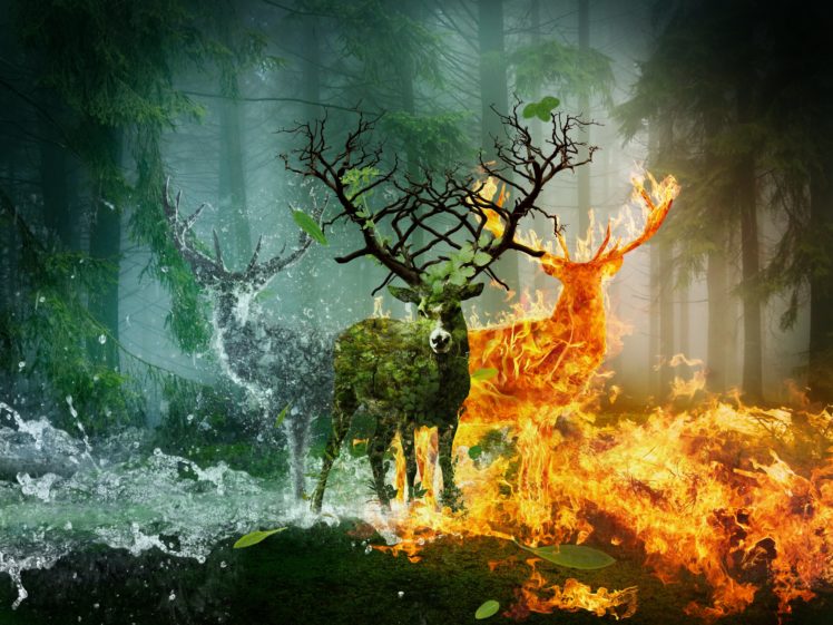 deer, Fire, Water, Horns, Earth, Fantasy, Animals, Wallpapers HD Wallpaper Desktop Background