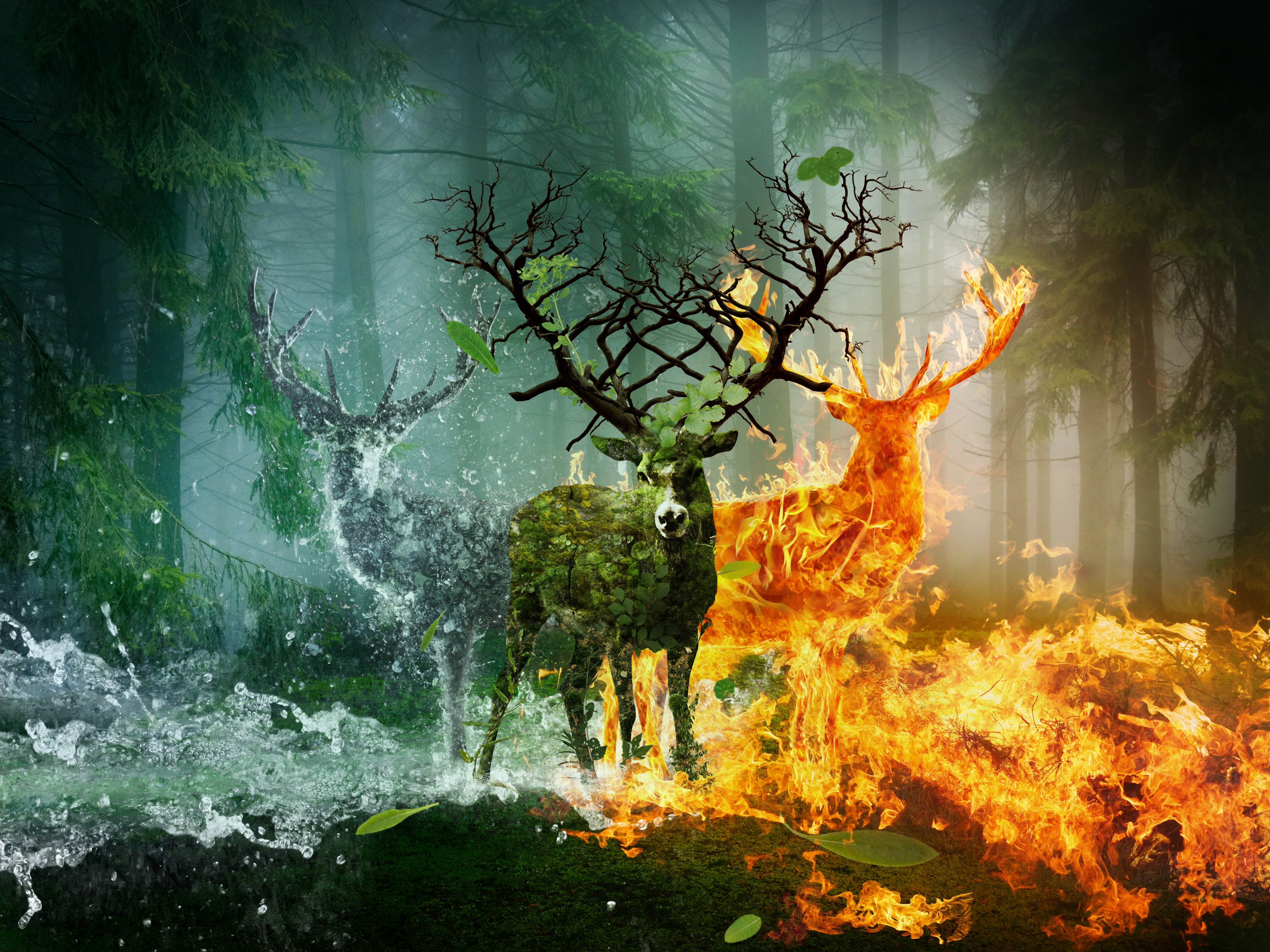 deer, Fire, Water, Horns, Earth, Fantasy, Animals, Wallpapers