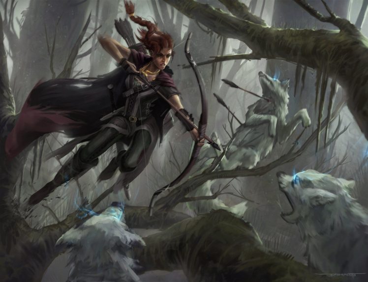 battle, Archer, Wolves, Fantasy, Girls, Elf, Elbes, Wolf, Forest HD Wallpaper Desktop Background