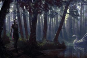 forest, Dark,  , Dark fantasy art