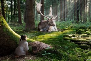 fairytale, Forest,  , Moose, 3d
