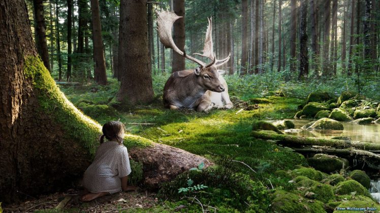 fairytale, Forest,  , Moose, 3d HD Wallpaper Desktop Background