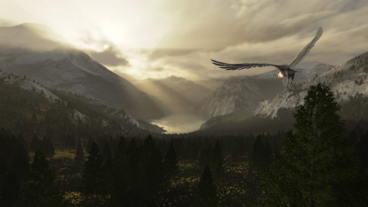 fantasy,  , Landscape, Bird, Forest, Mountain, Sunlight HD Wallpaper Desktop Background