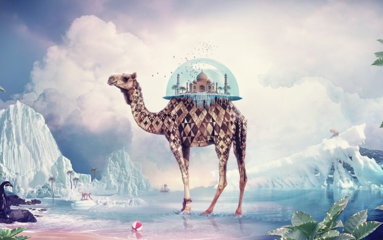 taj, Mahal, Camel, Fantasy HD Wallpaper Desktop Background