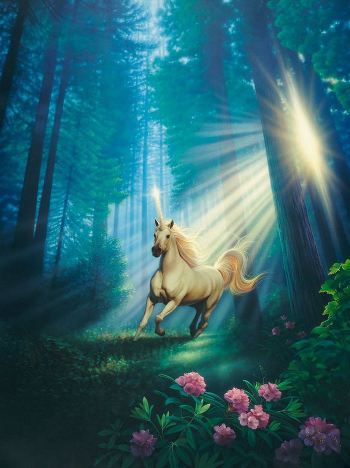 unicorn, Fantasy, Forest, Flower, Beautiful, Sunlight Wallpaper