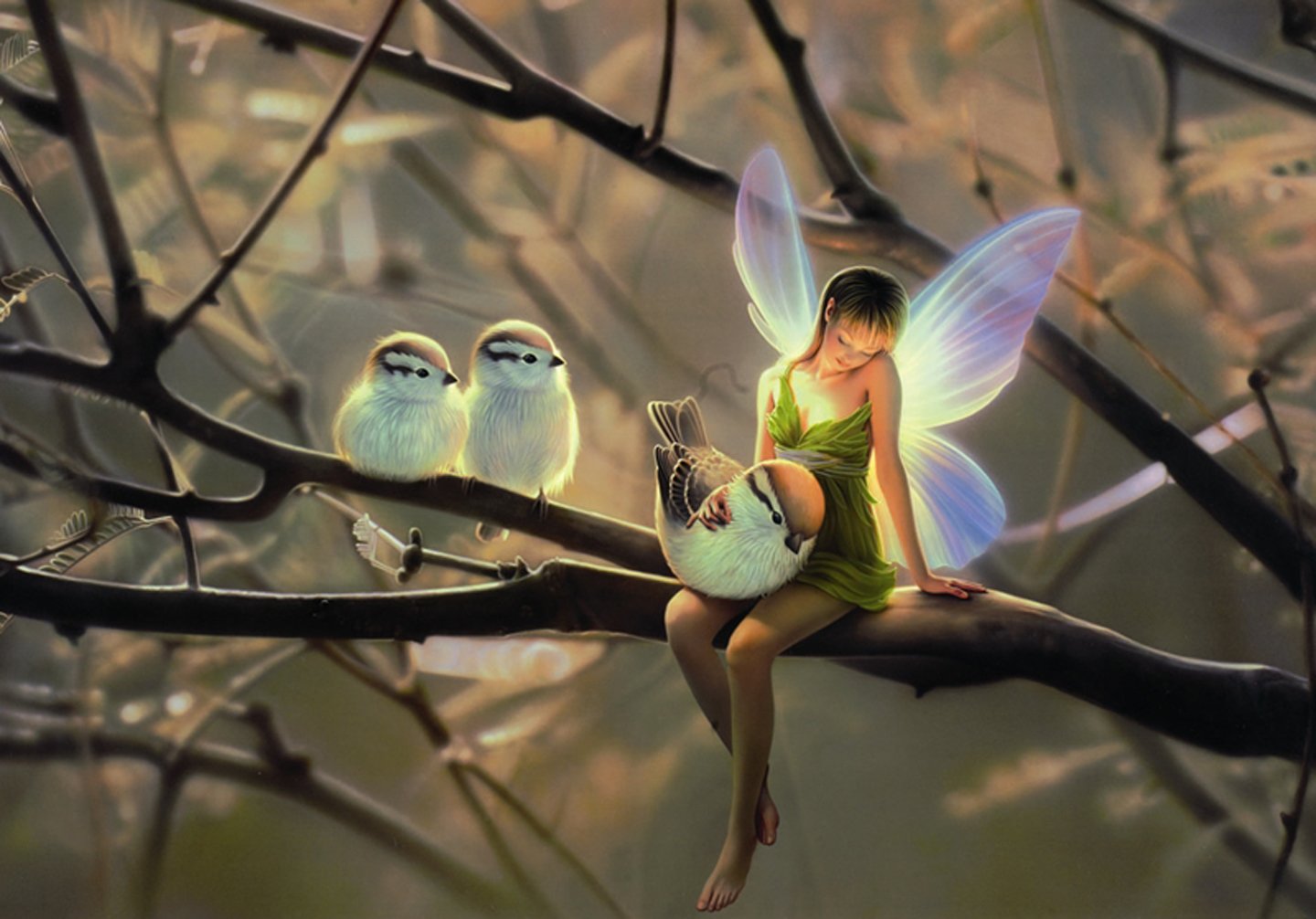 fairy, Fantasy, Birds, Animal, Tree, Wings Wallpaper