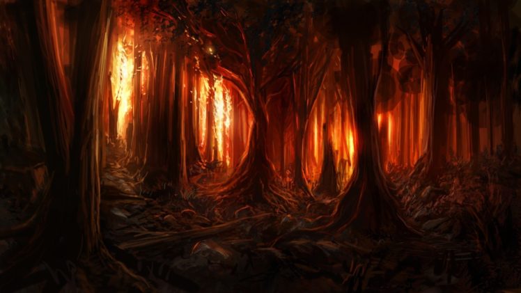 red, Forest, Fantasy, Tree, Light HD Wallpaper Desktop Background