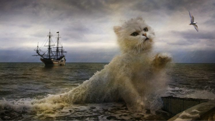 cats, Waves, Creative, Fantasy, Animals, Artwork, Painting, Photoshop, Ocean, Sea, Digital, Art HD Wallpaper Desktop Background