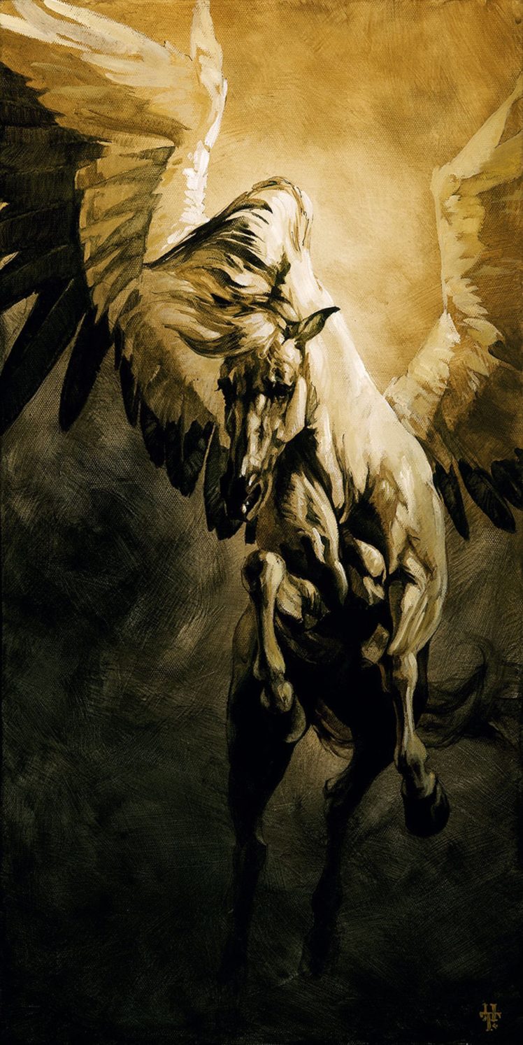 freedom, Art, Horse, White, Beautiful, Animal, Wings, Pegasus, Fantasy HD Wallpaper Desktop Background
