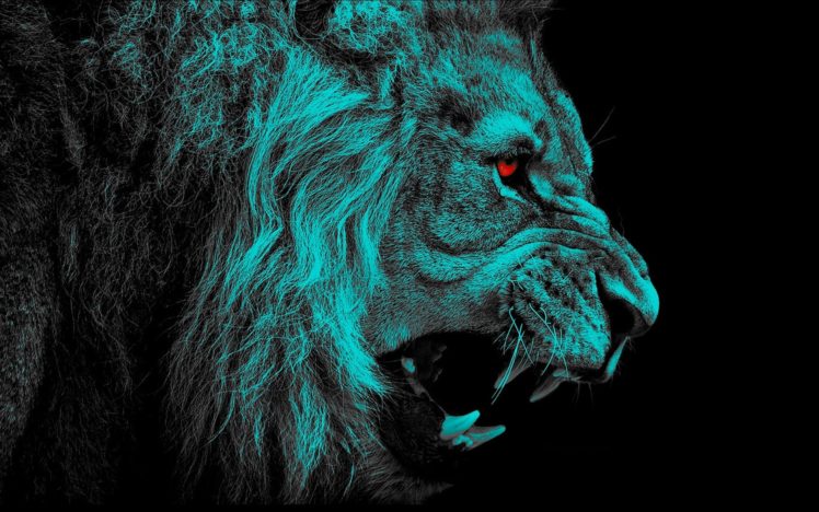 lion, Lions, Predator, Carnivore, Cat, Cats, Ag HD Wallpaper Desktop Background