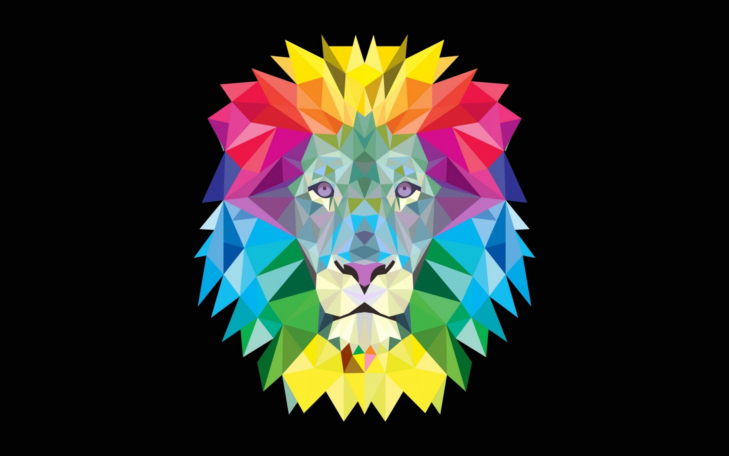 lion, Lions, Predator, Carnivore, Cat, Cats Wallpaper