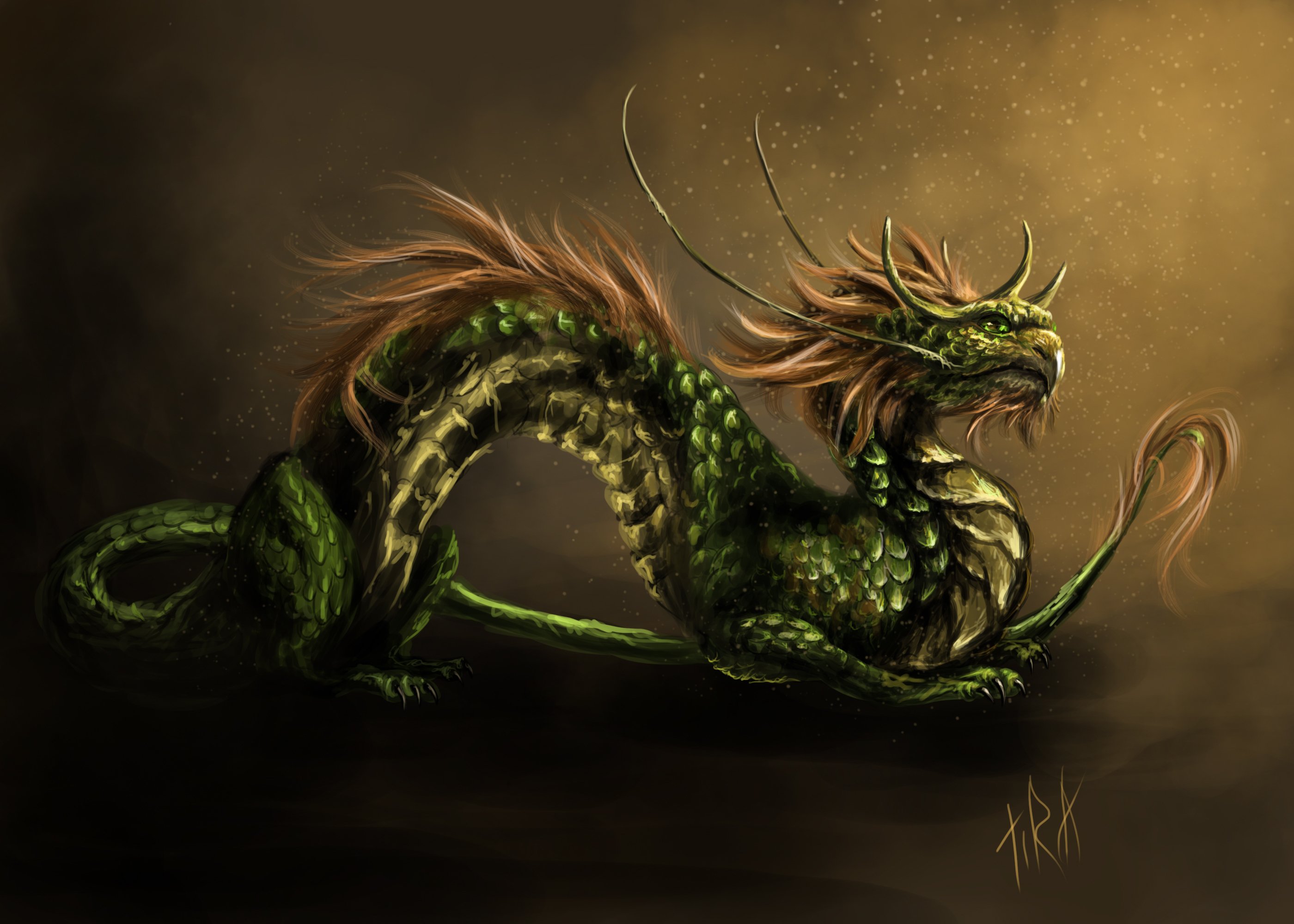 dragon, Fantasy, Art, Artwork, Dragons Wallpaper
