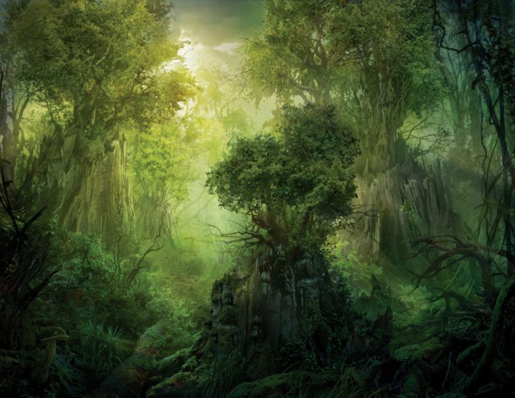 landscape, Nature, Tree, Forest, Woods, Jungle, Fantasy, Artwork HD Wallpaper Desktop Background