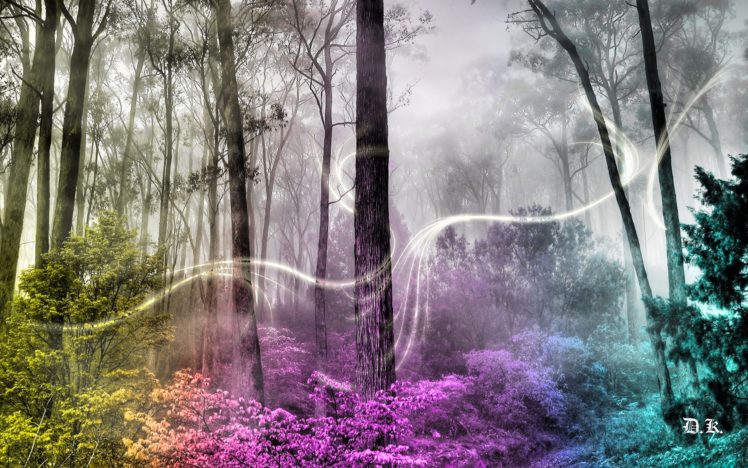 artwork, Fantasy, Magical, Art, Forest, Tree, Landscape, Nature, Magic HD Wallpaper Desktop Background