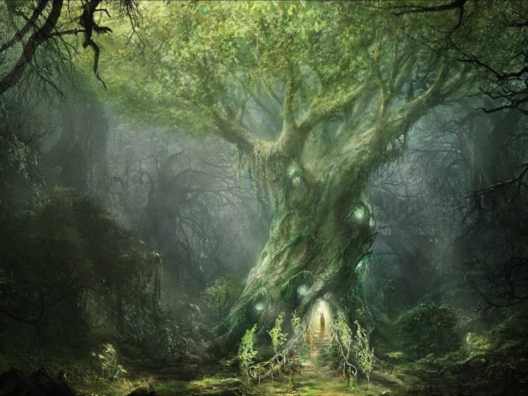 artwork, Fantasy, Magical, Art, Forest, Tree, Landscape, Nature HD Wallpaper Desktop Background