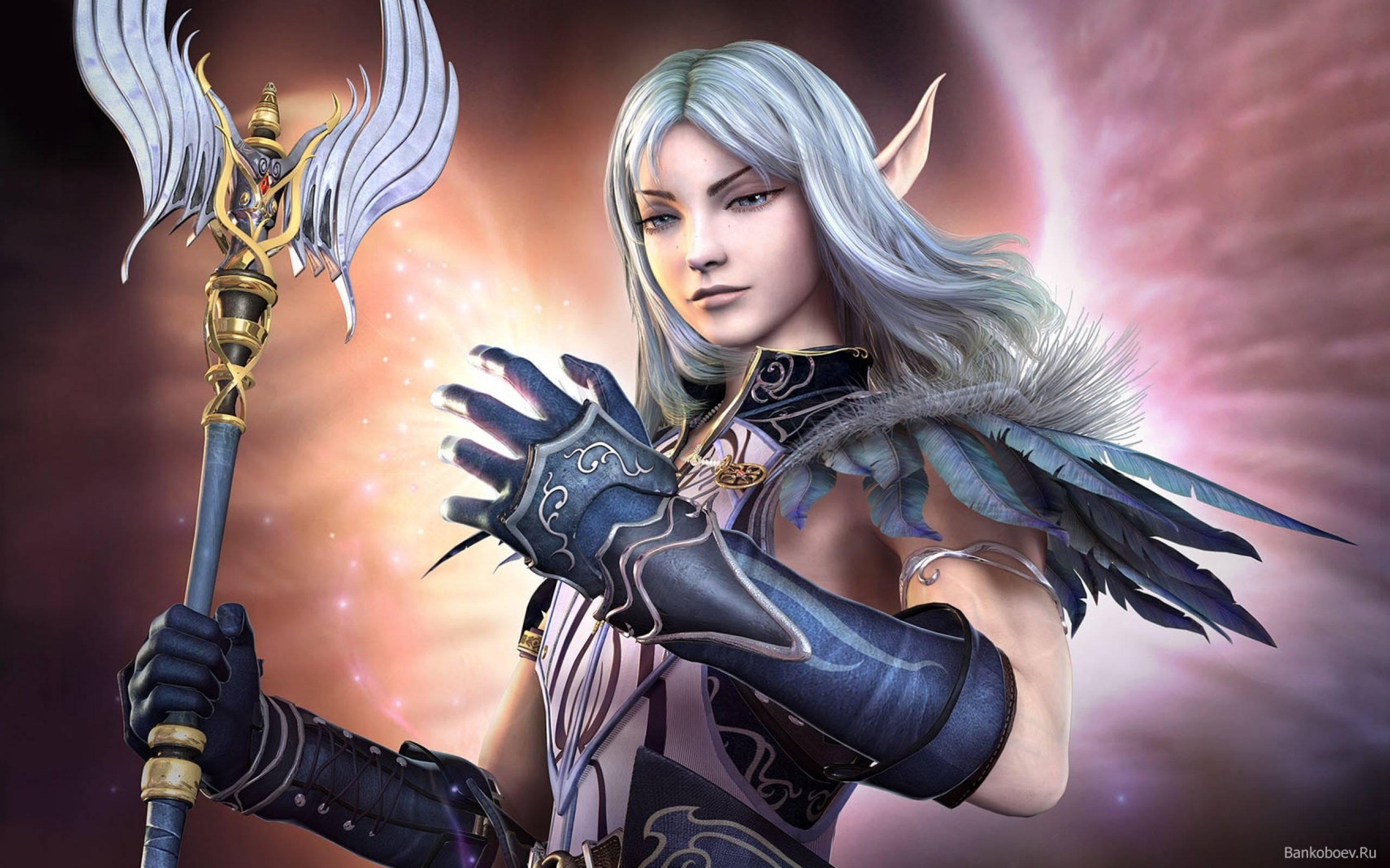 elf, Elves, Fantasy, Art, Artistic Wallpaper