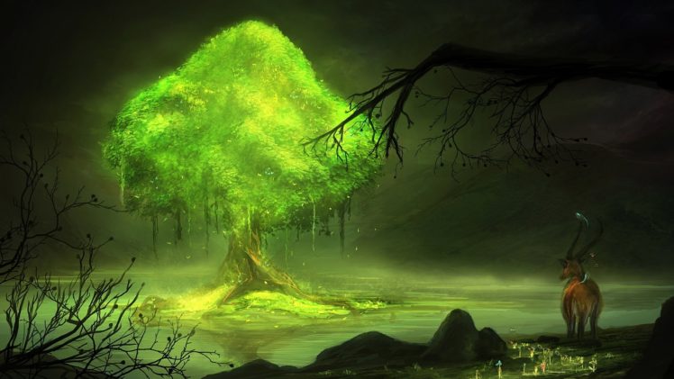 forest, Nature, Landscape, Tree, Art, Artwork HD Wallpaper Desktop Background