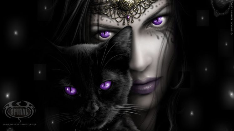 witch, Purple, Eyes, Black, Cat HD Wallpaper Desktop Background