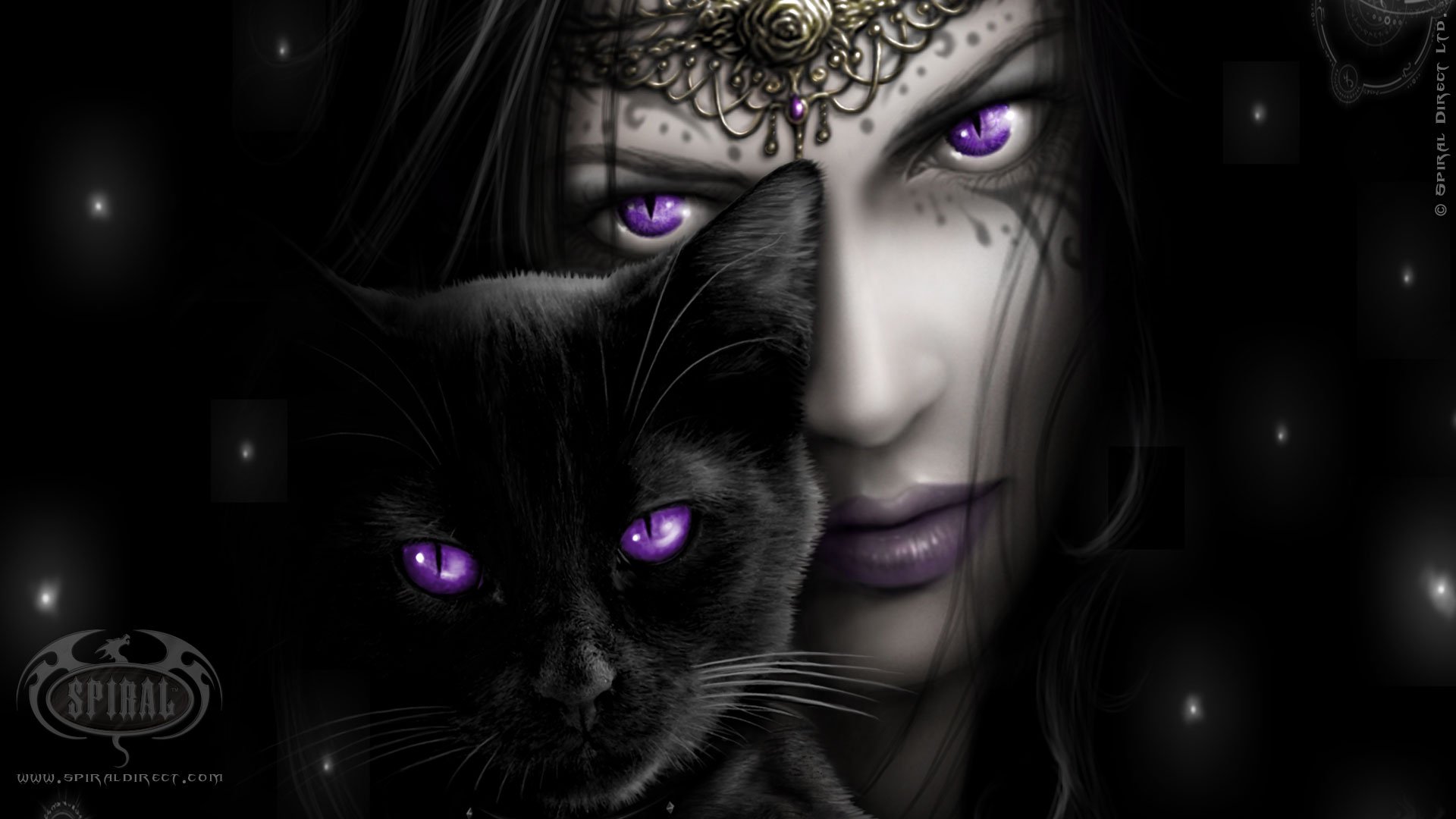 witch, Purple, Eyes, Black, Cat Wallpaper