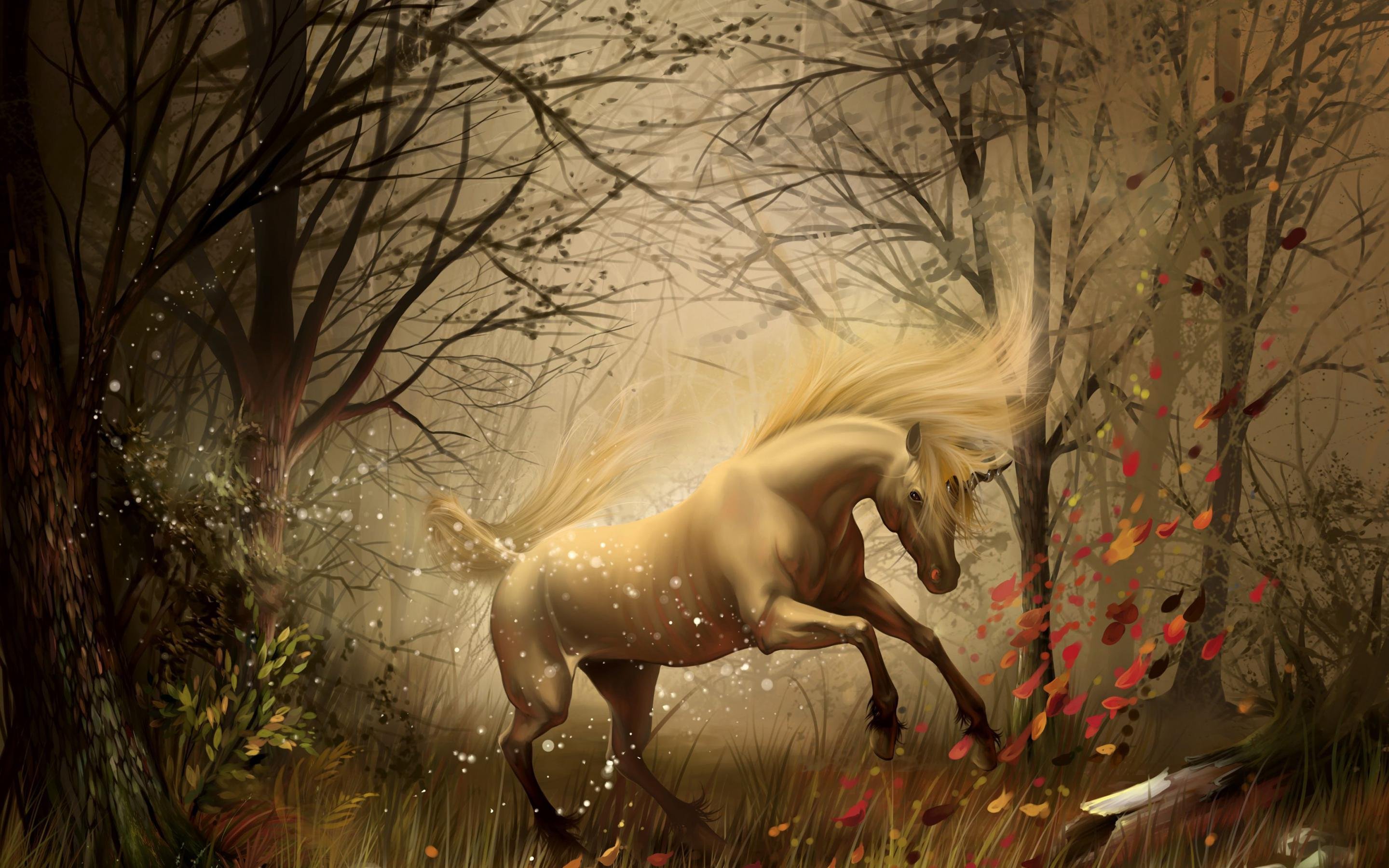 unicornio, Bosque, Fantasia Wallpaper