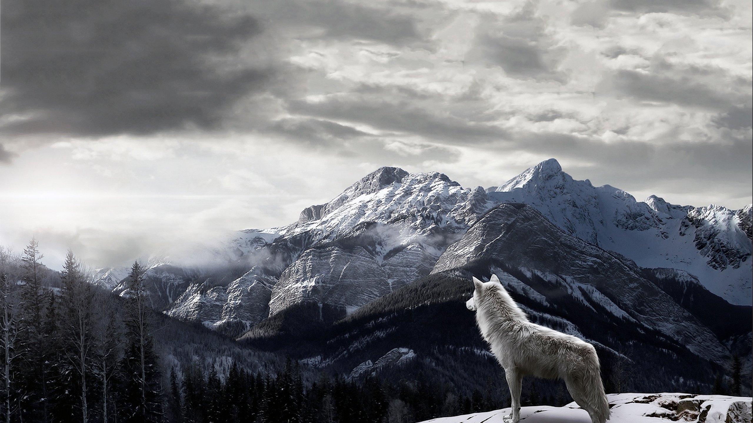 fantasy, Original, Art, Artistic, Artwork, Wolf, Wolves Wallpaper
