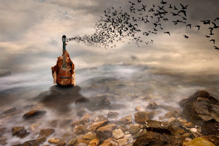 guitar, Leaf, Birds, Flying, Music, River, Stones HD Wallpaper Desktop Background
