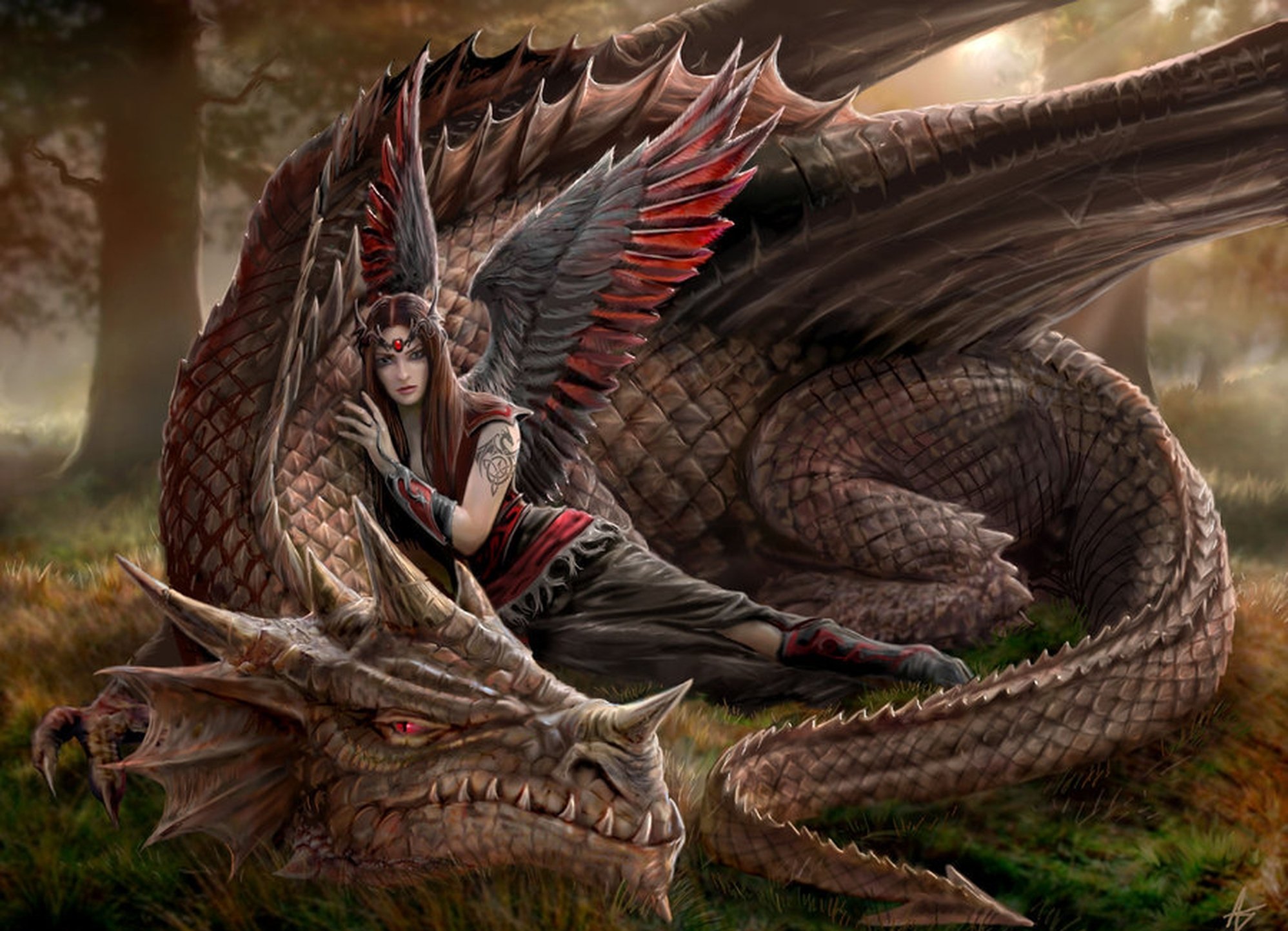 dama, Dragon, Bosque, Fantasia Wallpaper