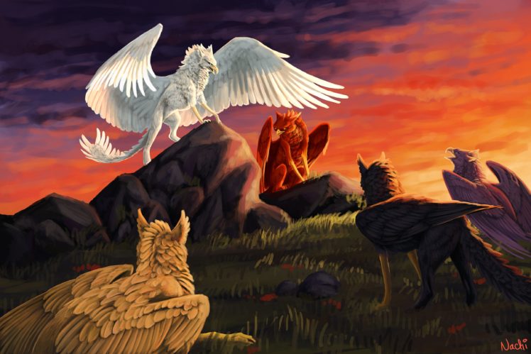 fantasy, Art, Artwork, Griffin, Creature, Bird HD Wallpaper Desktop Background