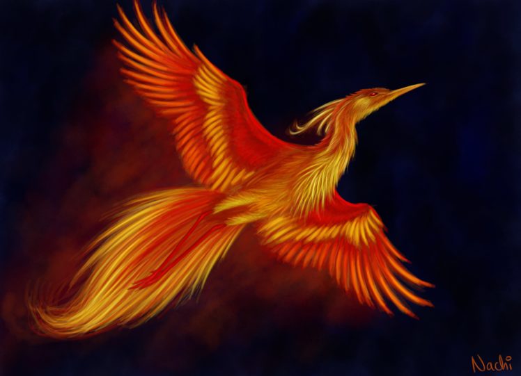 fantasy, Art, Artwork, Pheonix, Bird, Creature HD Wallpaper Desktop Background