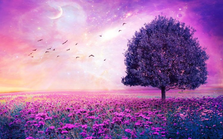 purple, Flower, Nature, Tree, Field, Lonely, Tree, Flower, Sky, Stars, Fantasy, Artwork HD Wallpaper Desktop Background