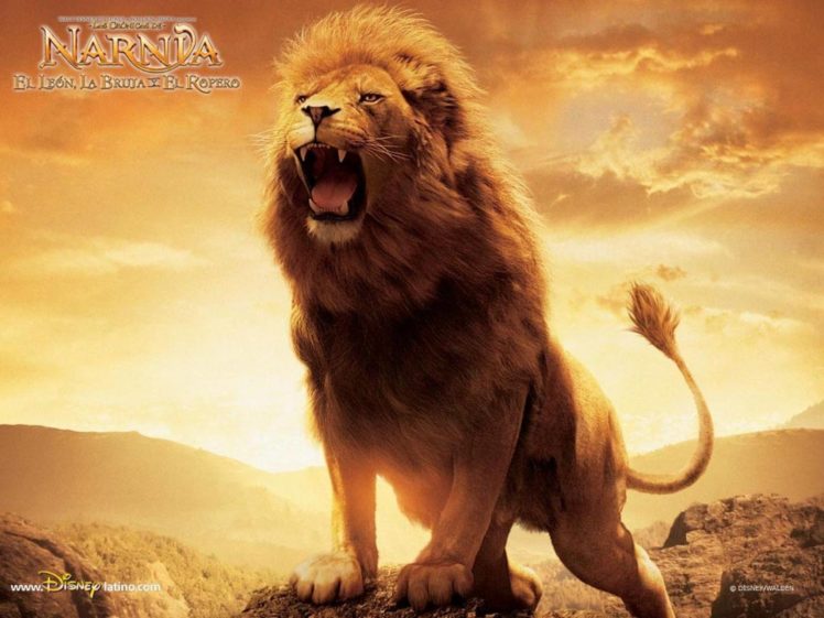 narnia, Adventure, Fantasy, Family, Series, Book, 1narnia, Chronicles, Disney, Lion, Poster HD Wallpaper Desktop Background