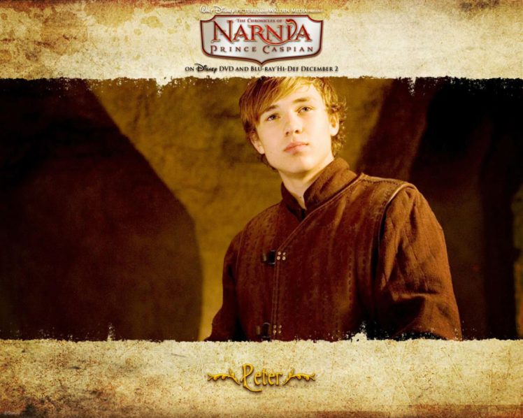 narnia, Adventure, Fantasy, Family, Series, Book, 1narnia, Chronicles, Disney, Poster HD Wallpaper Desktop Background