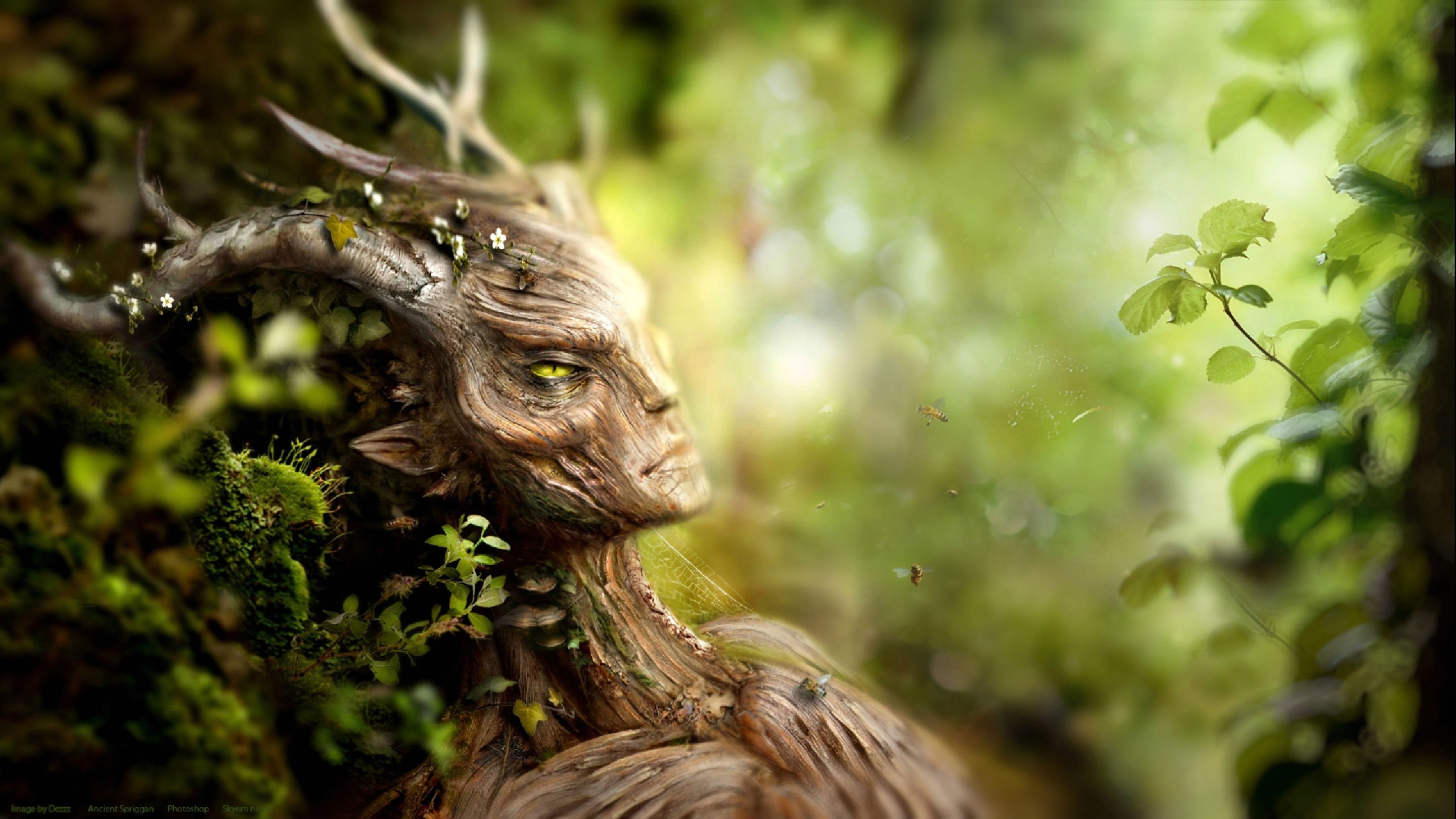 elder, Scrolls, Fantasy, Action, Rpg, Mmo, Online, Artwork, Fighting, Skyrim Wallpaper
