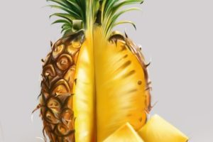 yasar vurdem pineapple, Digitalart