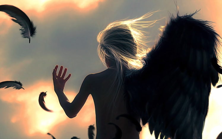 angels, Fantasy, Angel, Feather, Feathers, Silhouette HD Wallpaper Desktop Background
