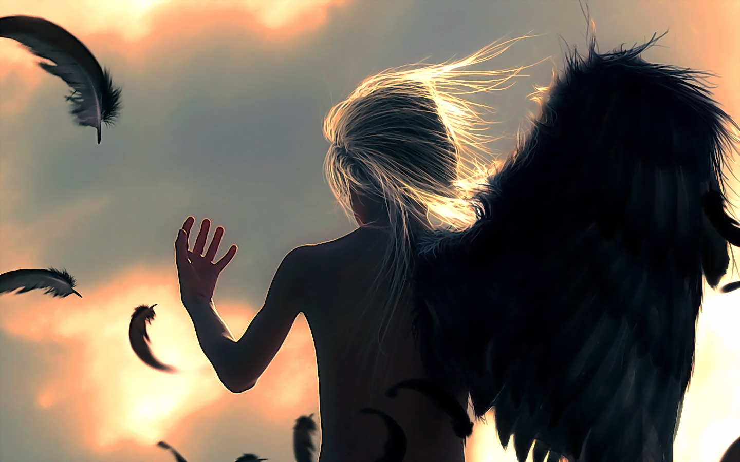 angels, Fantasy, Angel, Feather, Feathers, Silhouette Wallpaper