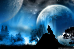 blue, Stars, Planets, Moon, Wolves