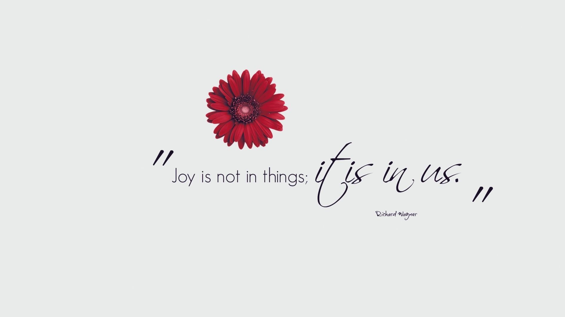 joy, Flower, Mood Wallpaper