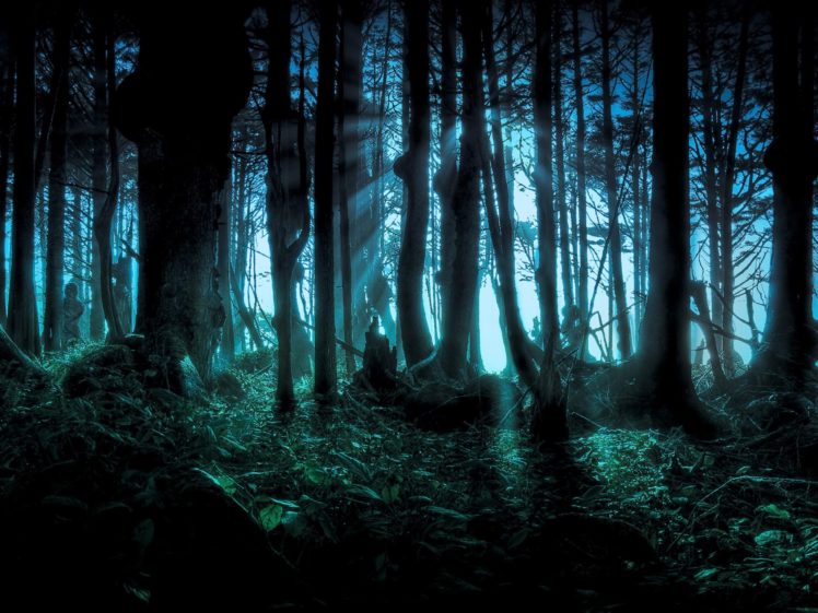 forest, Halloween, Scary, Pacific HD Wallpaper Desktop Background