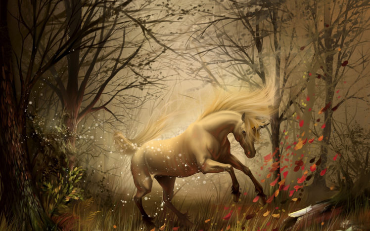 unicorn, In, The, Forest HD Wallpaper Desktop Background