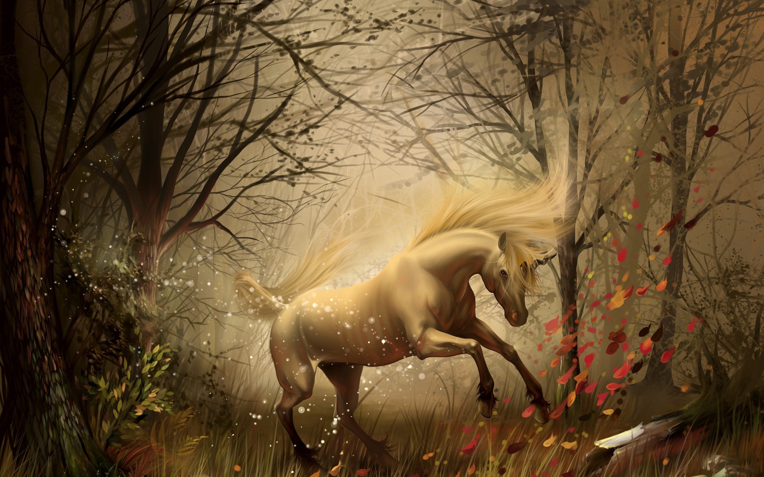 unicorn, In, The, Forest Wallpaper