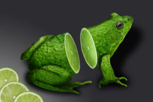 frog, Lime