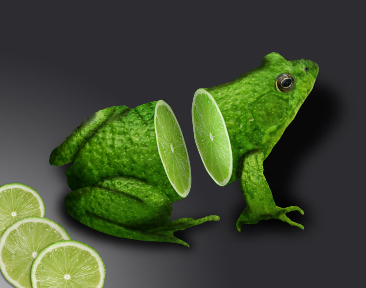 frog, Lime HD Wallpaper Desktop Background
