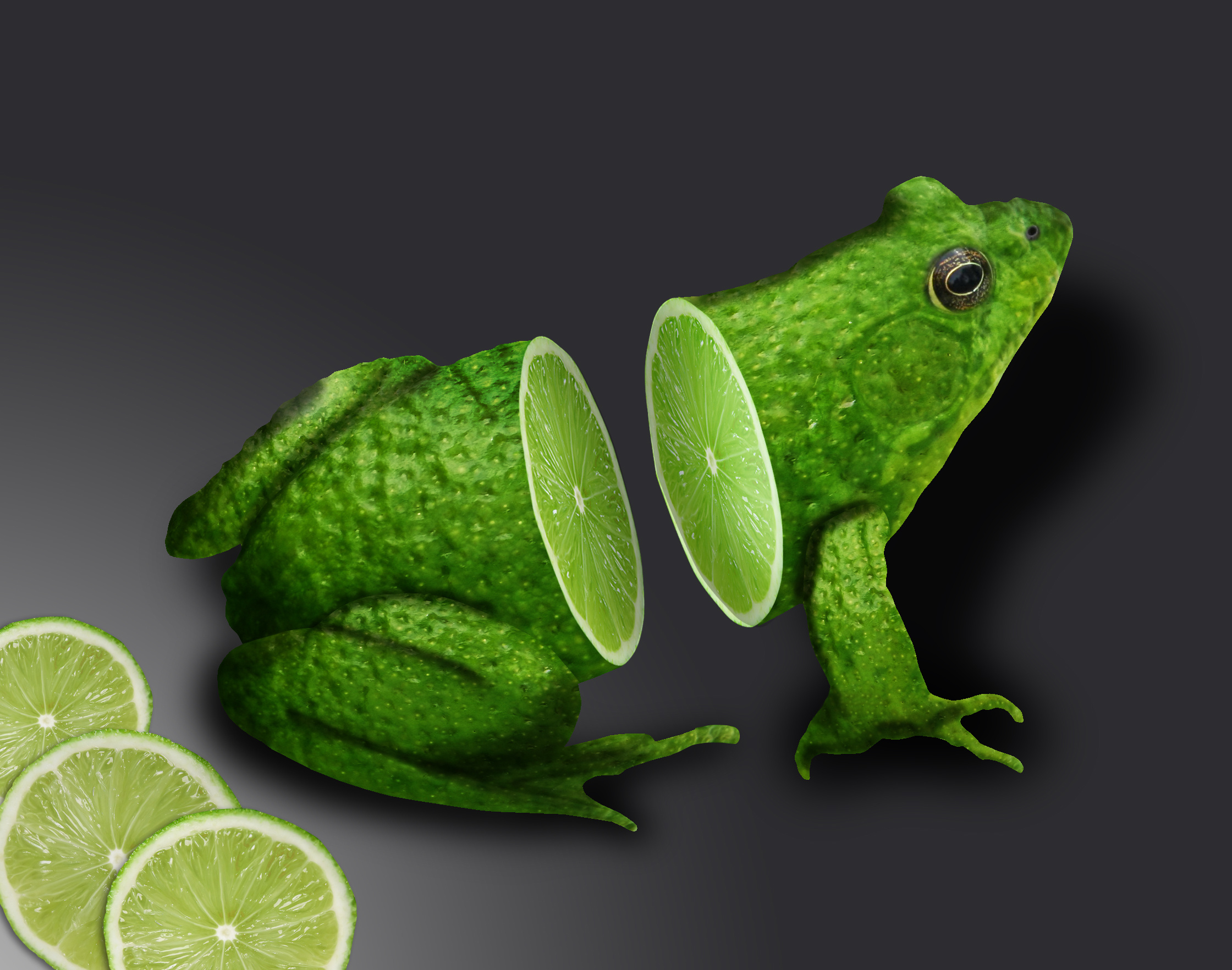 frog, Lime Wallpaper