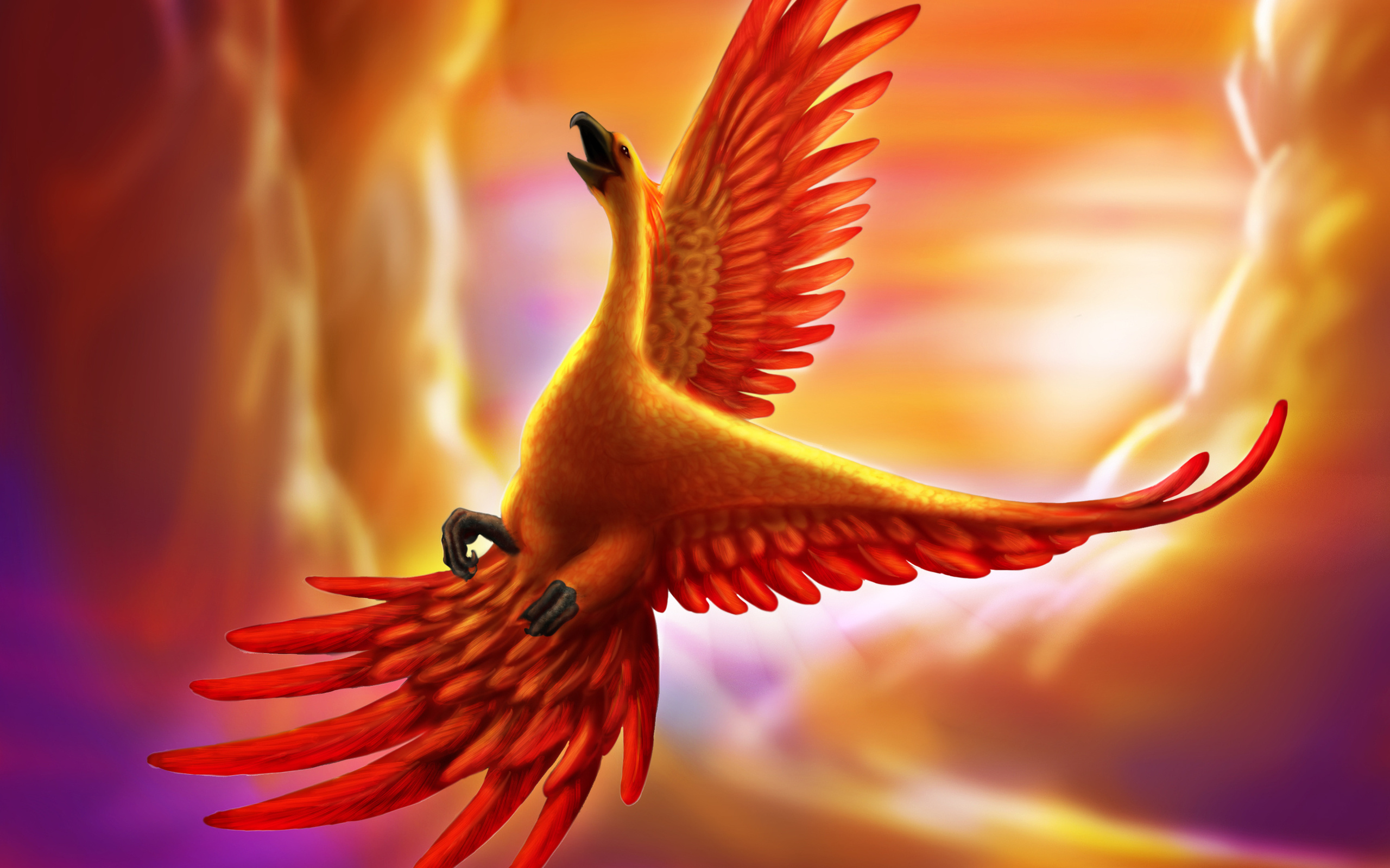 creature, Art, Bird, Phoenix Wallpaper